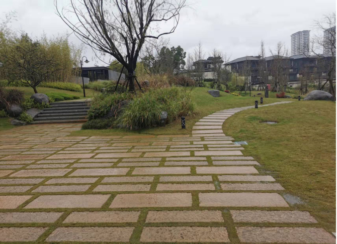 1657461958166362.png image.png